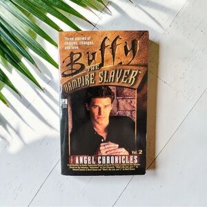 Buffy the Vampire Slayer: The Angel Chronicles Vol. 2 Paperback Buffy TV Series